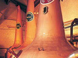 Bushmills Irish Whiskey Honey Distillery
